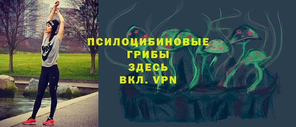apvp Абаза