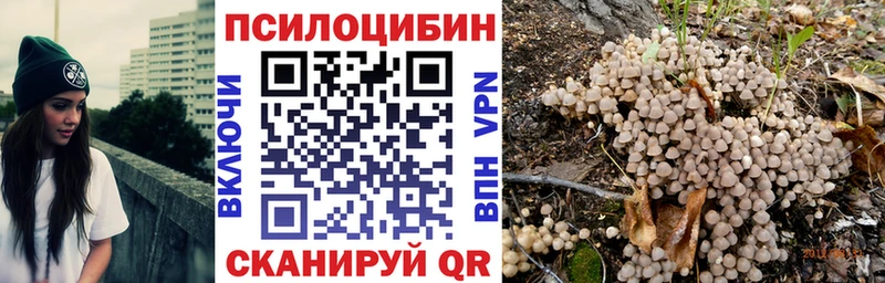 где продают наркотики  Заводоуковск  blacksprut вход  Псилоцибиновые грибы Cubensis 