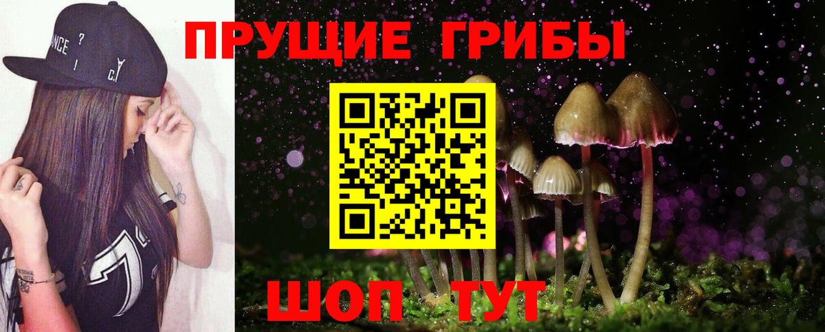 Заводоуковск  Псилоцибиновые грибы GOLDEN TEACHER  Вход с VPN 