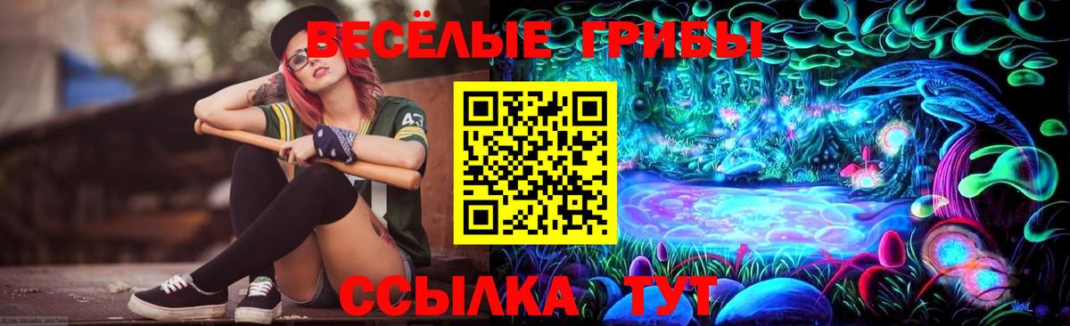 Псилоцибиновые грибы мицелий Заводоуковск