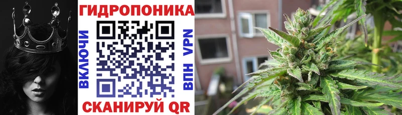 даркнет сайт Заводоуковск Каннабис VHQ